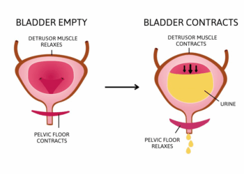 Pelvic Floor Awareness for Easier Urination